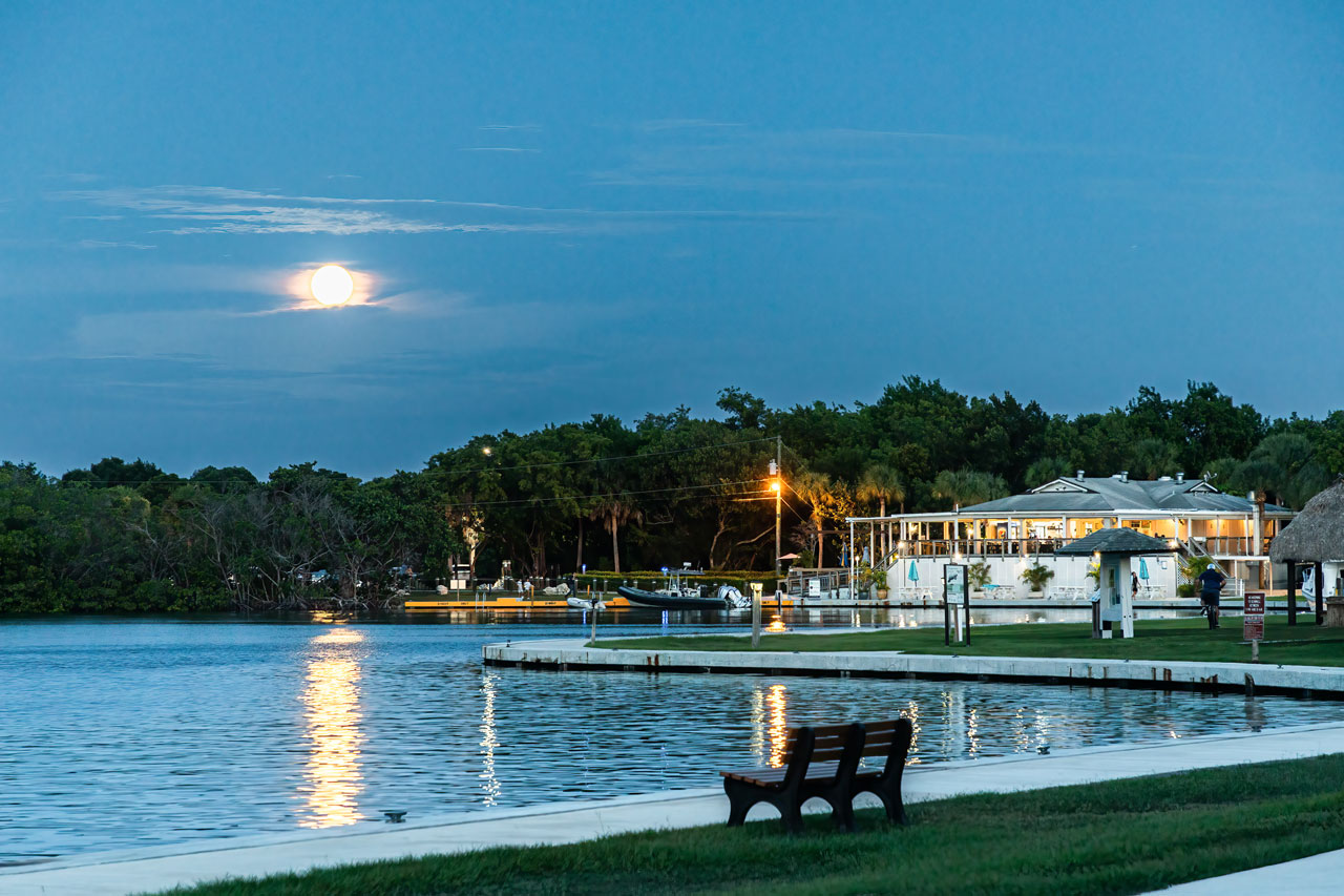 Home Lighthouse Restaurants